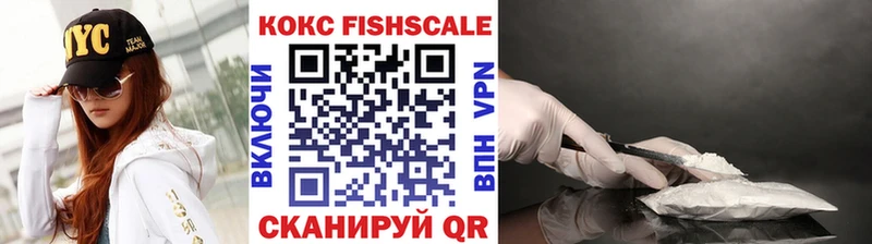 omg как зайти  как найти наркотики  Новотроицк  COCAIN VHQ 