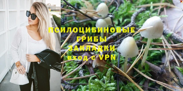 spice Бугульма