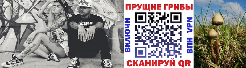 Псилоцибиновые грибы Cubensis  купить наркотики цена  Новотроицк 