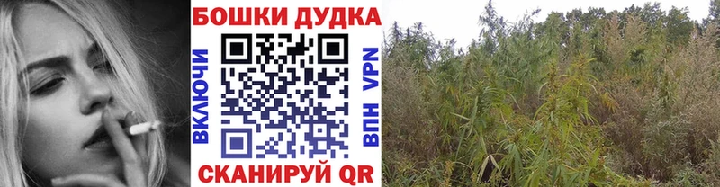Каннабис Amnesia  Новотроицк 