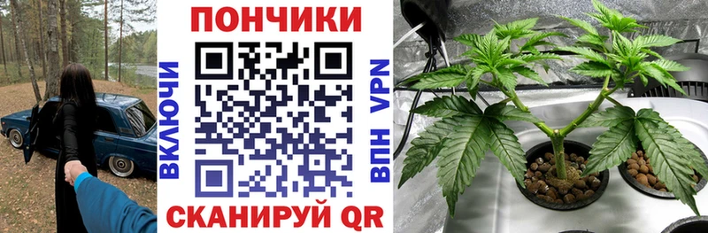 Канабис VHQ Новотроицк